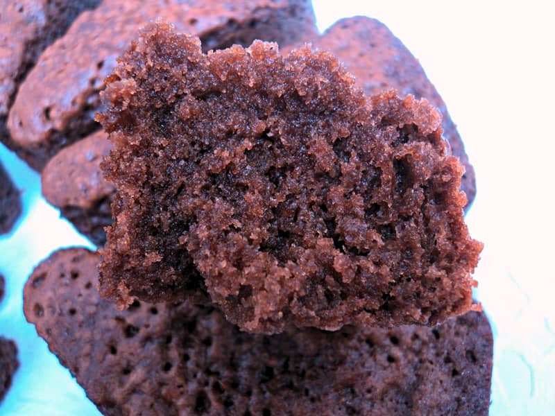 Bizcochitos de chocolate miga